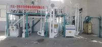10噸玉米糝、粉聯(lián)產生產線  日產